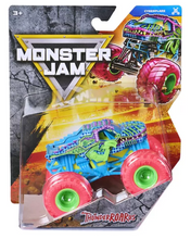 Load image into Gallery viewer, Monster Jam Die Cast Monster Truck
