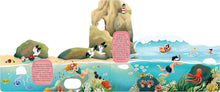 Load image into Gallery viewer, Exploring the Amazing World of the Coast -Layered Board Book
