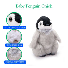 Load image into Gallery viewer, Zoology 6" Penquin Chick
