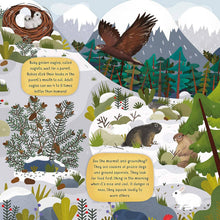 Load image into Gallery viewer, Discovering Nature on the Mountainside - Kid's Picture Book
