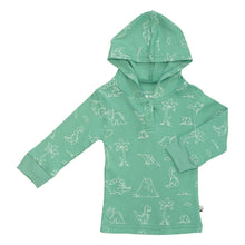 Load image into Gallery viewer, Babysoy Pattern Hoodie Sweatshirt: Dinosaurs
