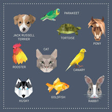 Load image into Gallery viewer, My Sticker Paintings: Pets - Children's Activity Book
