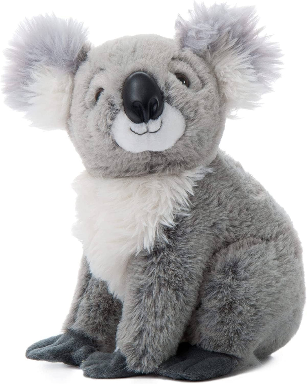 Petting Zoo Koala