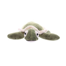Load image into Gallery viewer, Hatchling Sea Turtle 9" (20cm)
