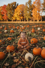Load image into Gallery viewer, Figgy Friends Pumpkin Pullover Sweater
