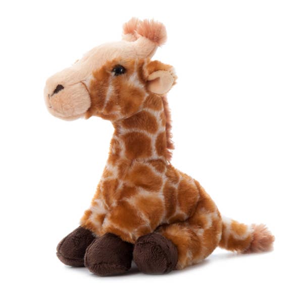 Petting Zoo Giraffe