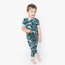Load image into Gallery viewer, Emerson 2-Piece Bamboo Pajamas Prehistoric Friends
